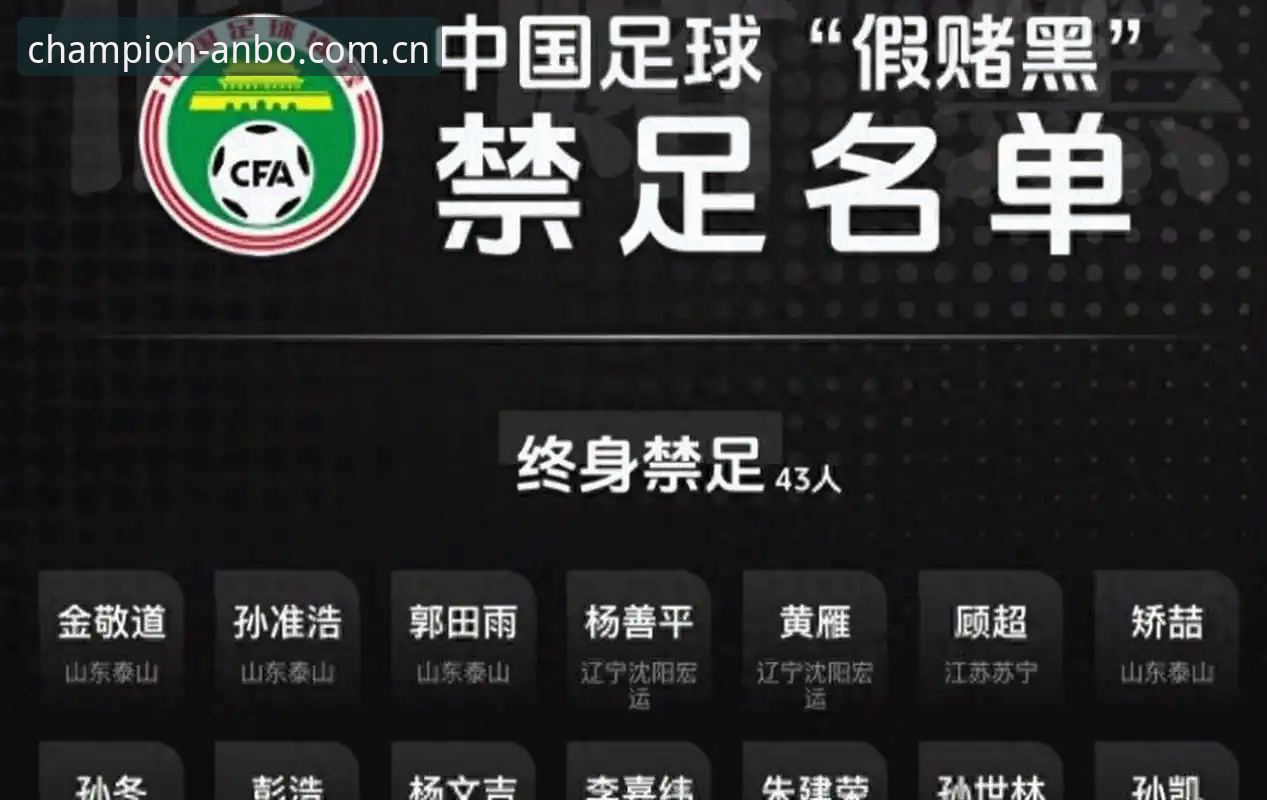 揭秘中国足协第三批禁足名单：一场足球反腐风暴背后的真相